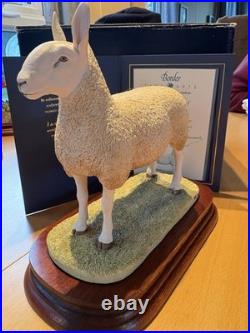 Border Fine Arts Border Leicester Tup Border Fine Arts Border Leicester Tup