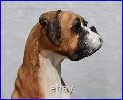 Border Fine Arts Boxer and Pups (Tan & White) Ltd. Edition No. 88/950 No. BO654