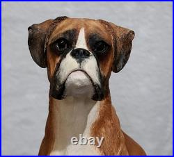 Border Fine Arts Boxer and Pups (Tan & White) Ltd. Edition No. 88/950 No. BO654