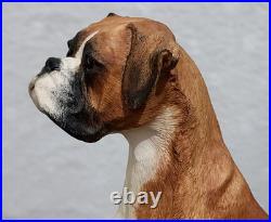 Border Fine Arts Boxer and Pups (Tan & White) Ltd. Edition No. 88/950 No. BO654