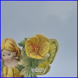 Border Fine Arts Buttercup Fairy Flower Fairies Figurine B0114 245/1950