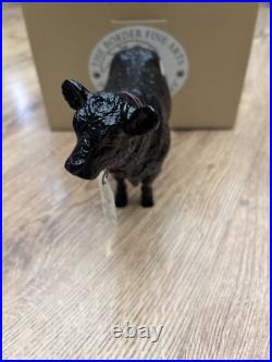 Border Fine Arts Cattle Black Galloway Cow A5255, Bnib