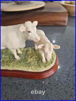 Border Fine Arts Cattle Breeds A1249 Charolais Cow & Calf Rare No Box Ex Conditi