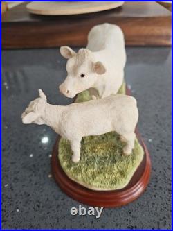 Border Fine Arts Cattle Breeds A1249 Charolais Cow & Calf Rare No Box Ex Conditi