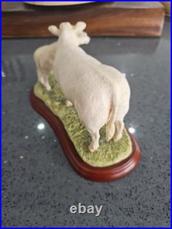 Border Fine Arts Cattle Breeds A1249 Charolais Cow & Calf Rare No Box Ex Conditi