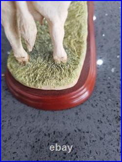 Border Fine Arts Cattle Breeds A1249 Charolais Cow & Calf Rare No Box Ex Conditi