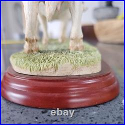 Border Fine Arts Cattle Breeds A1249 Charolais Cow & Calf Rare No Box Ex Conditi