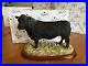 Border-Fine-Arts-Cattle-Collection-Aberdeen-Angus-Bull-Cow-Resin-Figure-A26896-01-cf