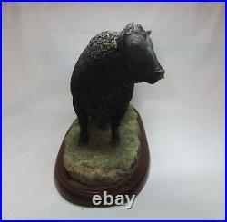 Border Fine Arts Cattle Collection Aberdeen Angus Bull Cow Resin Figure A26896