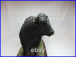 Border Fine Arts Cattle Collection Aberdeen Angus Bull Cow Resin Figure A26896