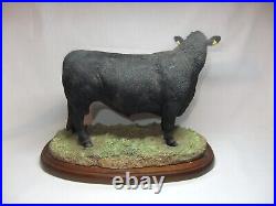 Border Fine Arts Cattle Collection Aberdeen Angus Bull Cow Resin Figure A26896