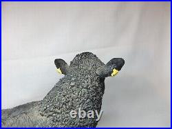 Border Fine Arts Cattle Collection Aberdeen Angus Bull Cow Resin Figure A26896