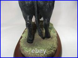 Border Fine Arts Cattle Collection Aberdeen Angus Bull Cow Resin Figure A26896