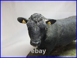 Border Fine Arts Cattle Collection Aberdeen Angus Bull Cow Resin Figure A26896