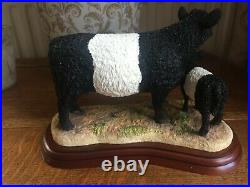 Border Fine Arts Cattle breeds Galloway Cow and Calf (belted) 2003
