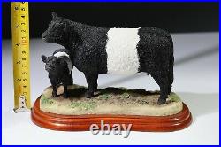 Border Fine Arts Cattle breeds Galloway Cow and Calf (belted) 2003 A2693