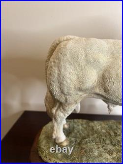 Border Fine Arts Charolais Bull B0587 Jack Crewdson Limited Edition 698/1950