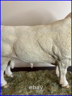 Border Fine Arts Charolais Bull B0587 Jack Crewdson Limited Edition 698/1950