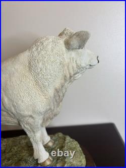 Border Fine Arts Charolais Bull B0587 Jack Crewdson Limited Edition 698/1950