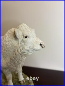 Border Fine Arts Charolais Bull B0587 Jack Crewdson Limited Edition 698/1950