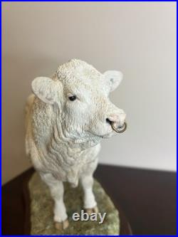 Border Fine Arts Charolais Bull B0587 Jack Crewdson Limited Edition 698/1950