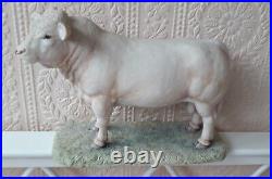 Border Fine Arts Charolais Bull By Ayres 1991 Numbered Limited Edition Model