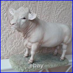 Border Fine Arts Charolais Bull By Ayres 1991 Numbered Limited Edition Model