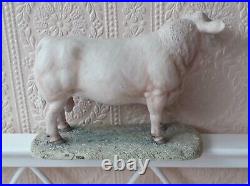 Border Fine Arts Charolais Bull By Ayres 1991 Numbered Limited Edition Model