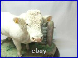 Border Fine Arts Charolais Bull By Wall On Wooden Plinth Figure Rare 2009 A9789