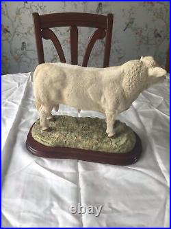 Border Fine Arts Charolais Bull. Limited Edition