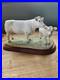 Border-Fine-Arts-Charolais-Cow-and-Calf-01-un