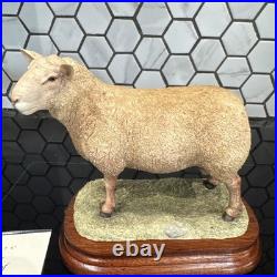 Border Fine Arts Charolais Ram Ltd 750 This Is Number 419BNIB