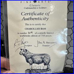 Border Fine Arts Charolais Ram Ltd 750 This Is Number 419BNIB
