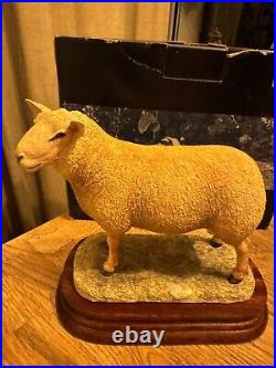 Border Fine Arts Charolais Ram Ltd 750 This Is Number 71 BNIB