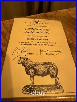 Border Fine Arts Charolais Ram Ltd 750 This Is Number 71 BNIB