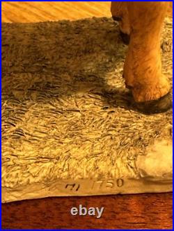 Border Fine Arts Charolais Ram Ltd 750 This Is Number 71 BNIB
