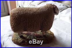 Border Fine Arts Cheviot Ram Sheep
