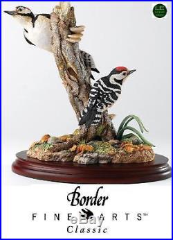 Border Fine Arts Classic Birds Different Points Of View