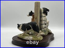 Border Fine Arts Collie Dogs'ALL THINGS WISE AND WONDERFUL' Bob & Sweep JH58 Border Fine Arts Collie Dogs'ALL THINGS WISE AND WONDERFUL' Bob & Sweep JH58