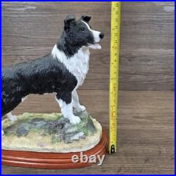 Border Fine Arts Collie Standing Margaret Turner 2003 Black White A1865 Rare