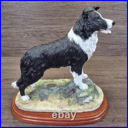 Border Fine Arts Collie Standing Margaret Turner 2003 Black White A1865 Rare