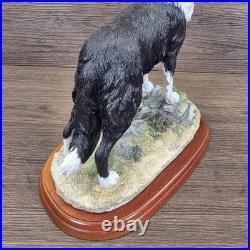 Border Fine Arts Collie Standing Margaret Turner 2003 Black White A1865 Rare