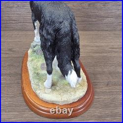 Border Fine Arts Collie Standing Margaret Turner 2003 Black White A1865 Rare