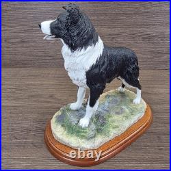 Border Fine Arts Collie Standing Margaret Turner 2003 Black White A1865 Rare