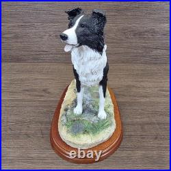 Border Fine Arts Collie Standing Margaret Turner 2003 Black White A1865 Rare