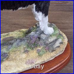 Border Fine Arts Collie Standing Margaret Turner 2003 Black White A1865 Rare