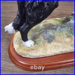 Border Fine Arts Collie Standing Margaret Turner 2003 Black White A1865 Rare