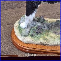 Border Fine Arts Collie Standing Margaret Turner 2003 Black White A1865 Rare