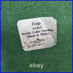 Border Fine Arts Collie Standing Margaret Turner 2003 Black White A1865 Rare