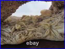 Border Fine Arts / Country Artists Fox On Log / Rocks With Rabbits / Hares